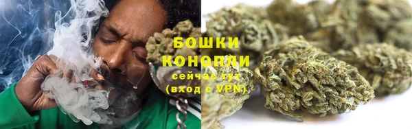 сатива Арсеньев