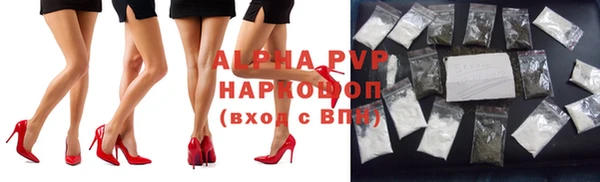 spice Аркадак