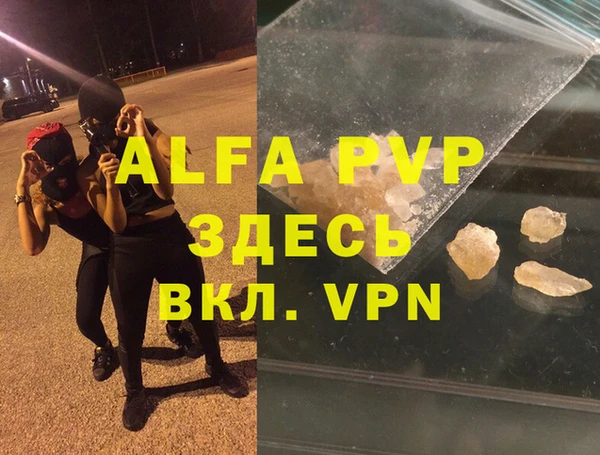 сатива Арсеньев