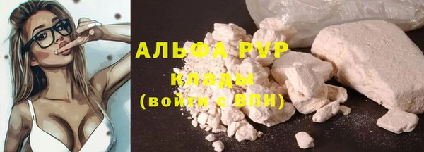 spice Аркадак